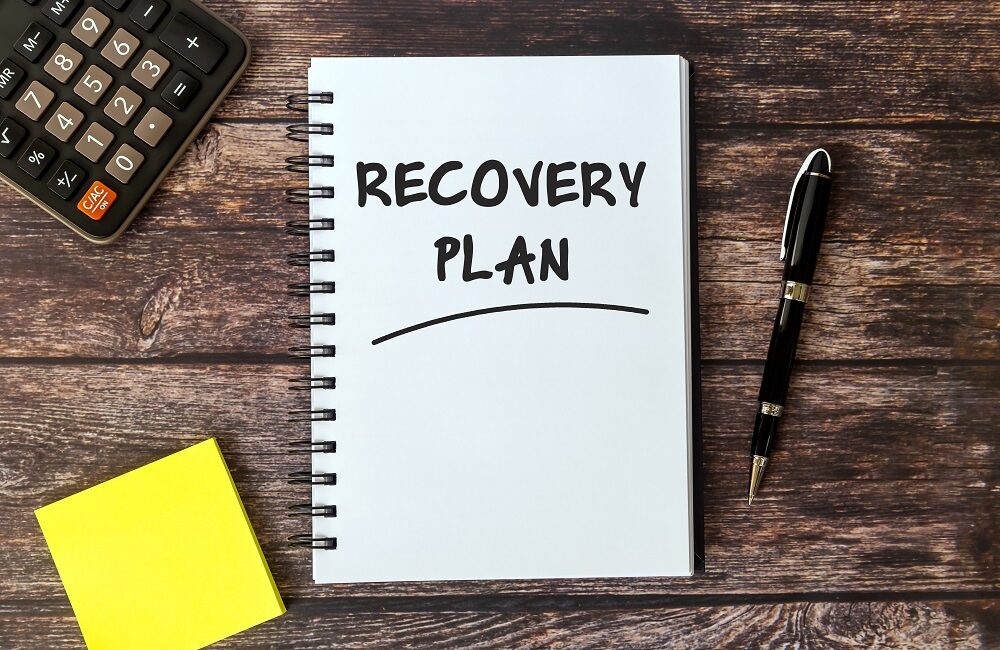 ZeeVee Recovery Plan